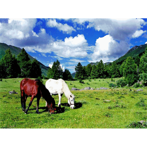 美丽的汶川，就这